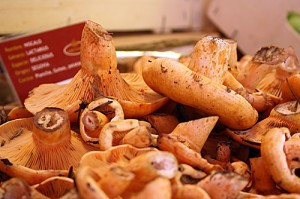 setas gold gourmet