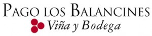Logo pagos viña y bodegas