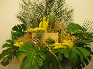Bananas y Piñas Flli Orsero