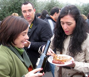 Desde la Fiesta de la Cosecha de la Oliva en La Boella