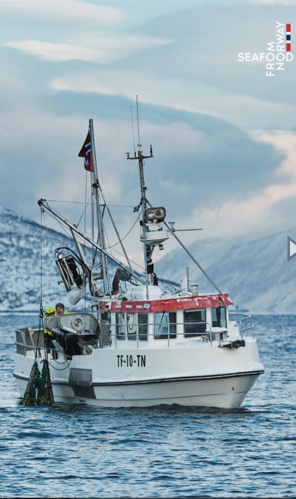 barco de pesca de Noruega