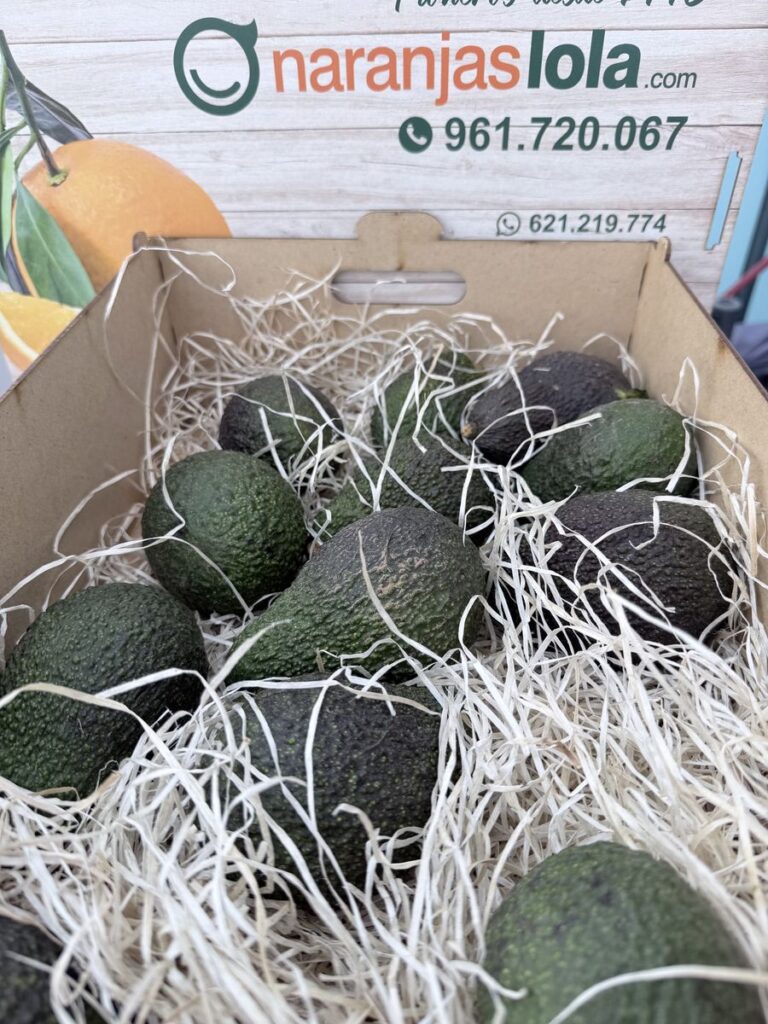 Aguacates de naranjas lola