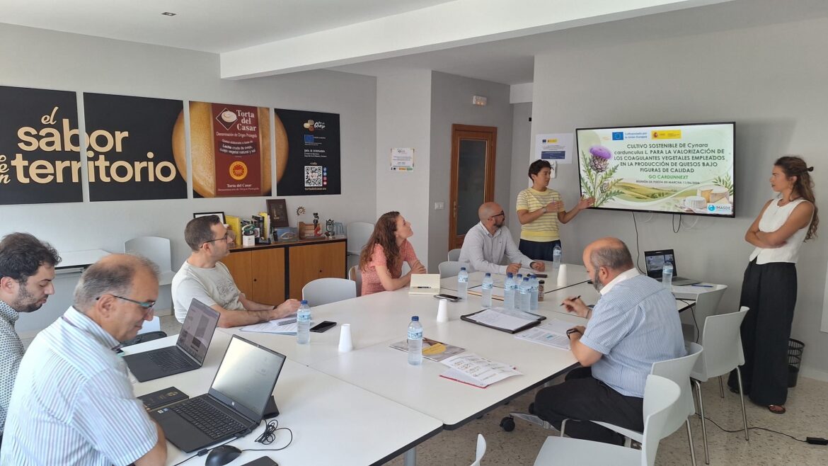 Reunión de presentación del proyecto CardunNext de la DOP Torta del Casar sobre el cardo como coagulante vegetal